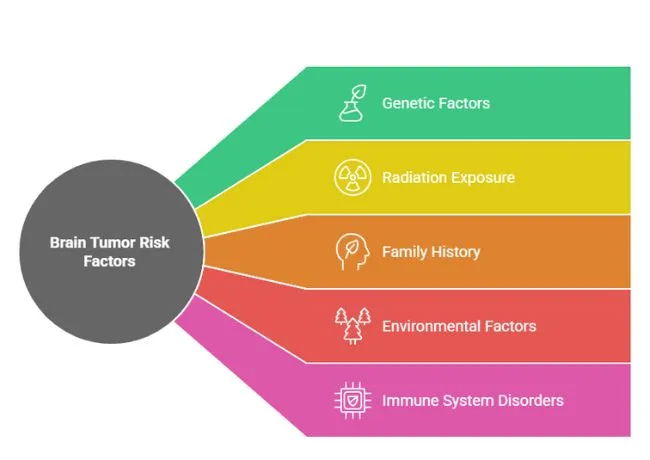 Causes of Brain Tumors